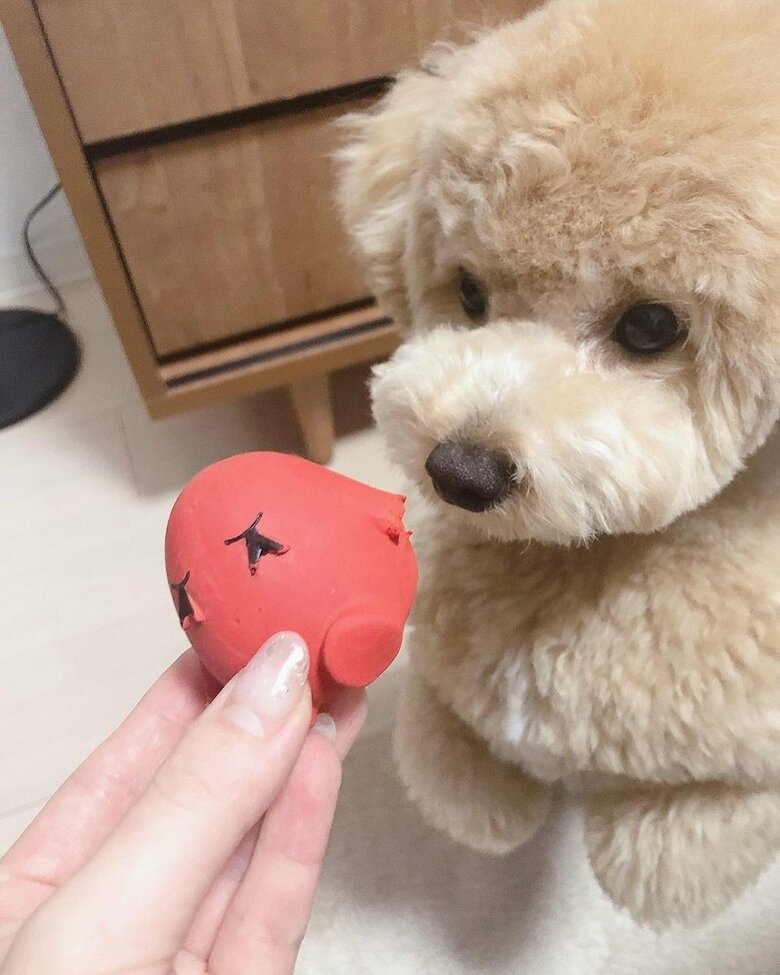 犯人はあなたですね