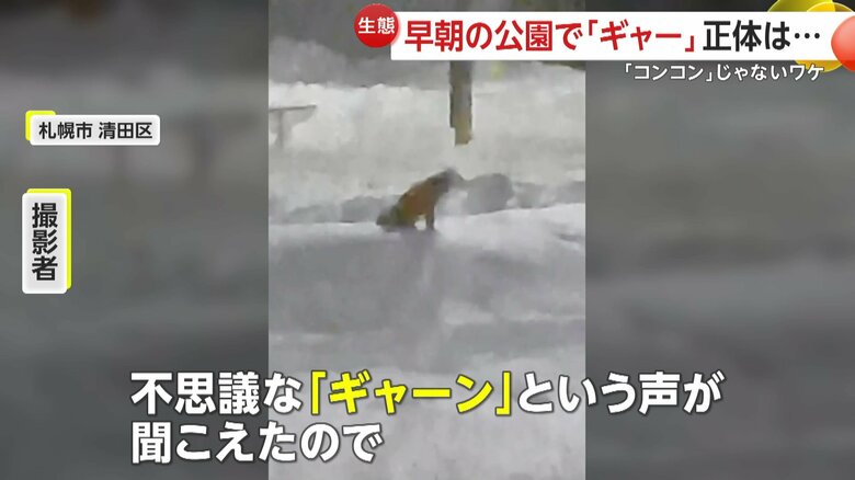 撮影者によれば「不思議な『ギャーン』っていう声が聞こえた」という