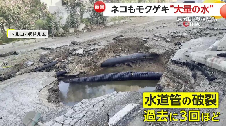 過去に3回ほど吹き上がる水を見たという被害にあった家の住人