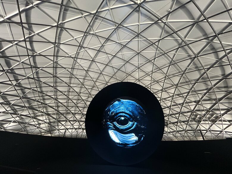 網目になっているのがカーボンファーバー