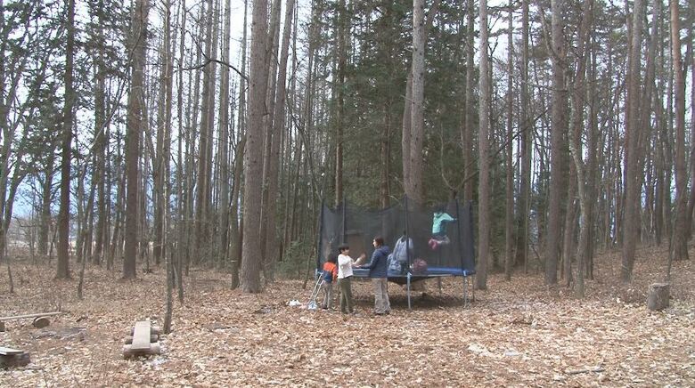 森の中にはトランポリンも