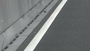 バイクを運転していたとみられる男が出頭　後部座席から転落した女性が後続車にひかれ死亡　東京・勝どき