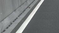 【速報】バイクを運転していた男が出頭　後部座席から転落した女性が後続車にひかれ死亡　東京・勝どき