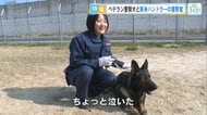 「警察犬と働きたい」幼い頃からの夢を現実に　25歳の警察官とベテラン警察犬が目指す事件捜査の最前線【広島発】