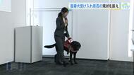 盲導犬　未だに利用者の半数近くが受け入れ拒否に…「盲導犬についての理解を深めて」協会が広島で勉強会