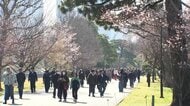 皇居・乾通り春の一般公開に長蛇の列　1万8000人来場し桜を満喫　外国人向け案内ブースも初設置　日本橋でも“桜イベント”開催