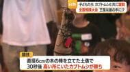 30秒の熱戦繰り広げられる　恒例の全国かぶと虫相撲大会　山形・中山町