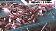 「秋の味覚の底引きが始まった」輪島港でカレイやノドグロが水揚げ　夜には初競りも