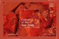 未来の市場を動かす色とは？ WGSNとColoro（カラロ）が2028年のカラー・オブ・ザ・イヤー予測を公開