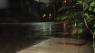 【速報】停車中の軽四貨物自動車が男に奪われる　運転手の男性は車の窓にしがみつくも振り落とされケガ　警察が強盗殺人未遂事件として捜査