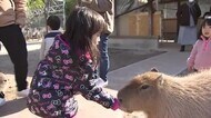 久山町の動物園 リニューアル クラウドファンディングで施設改修