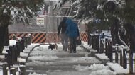 各地で“雪”都内でも積もる 都心は雨のまま...