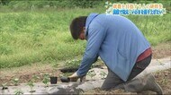 新たな一歩をを踏み出した23歳 『地元・いわきを盛り上げたい』強い志を胸に農家に【福島発】