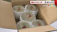 〈にいがた新鮮組〉春の果物“メロン”が今お得! 子どもも喜ぶ贅沢な食べ方とは?