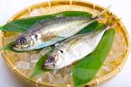 子供たちが「アジ」になりきれるシュールな施設が話題…干されて最後はアジ定食に