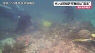 辺野古サンゴ移植 県の許可撤回は”違法” 農水省が裁決