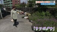 「ウツボグサ」でぼうこう炎が改善？ 82歳女性の投稿が大反響　300人超える相談者に苗の無償提供も【高知発】
