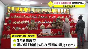 春を彩る「越前おおのひな祭り」 1000体を集めて2年ぶりに開催【福井】