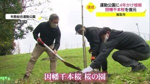 4年で1000本を達成! 因幡千本桜が復元 市民の憩いの場に(鳥取・鳥取市)