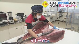 女子高生がマグロ解体ショー コロナ禍で苦境の地元水産業のために奮闘 新商品開発も 愛媛発