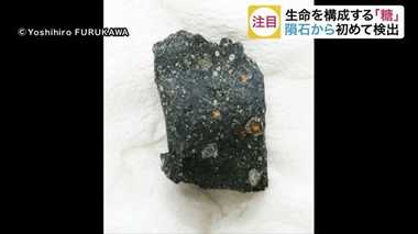 地球外由来のものと考えるしかない…隕石から「糖」の分子を初めて検出