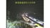 《速報》長岡市と小千谷市結ぶ国道１７号でも車の立往生が発生　柏崎…
