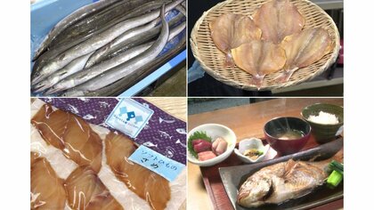 煮つけも“電子レンジだけ”…地元で評判の「さかなや」　干物は骨外して食べやすく「魚をもっとたくさんの人に」