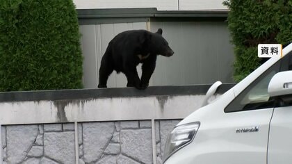 小学校付近にも…クマが福島・郡山市の市街地に　出没3日目で緊急銃猟　強烈なにおいの“撃退ランチャー”開発企業も