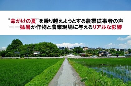 【農機具王】”命がけの夏”を乗り越えようとする農業従事者の声――猛暑が作物と農業現場に与えるリアルな影響とは
