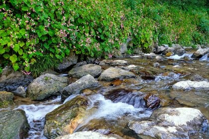 勉強中に「川のせせらぎ」の音を聞くと集中力が向上？実証実験で判明…理由と活用法を三菱鉛筆に聞いた