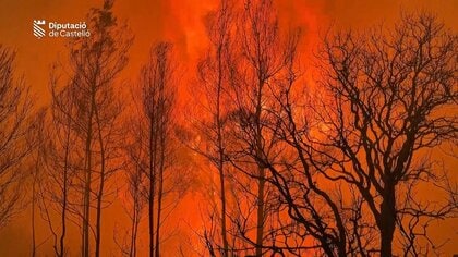 地球は“熱中症”なのか　熱波、豪雨、巨大台風…ラブロックが遺した「ガイアの発熱」という警告