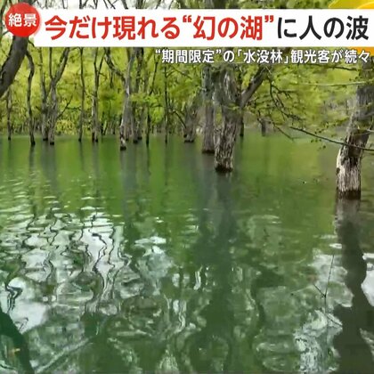 白川湖に“期間限定”「水没林」出現！奇跡の一枚求め観光客殺到　一方、撮影目的で路上駐車の迷惑行為も…山形・飯豊町