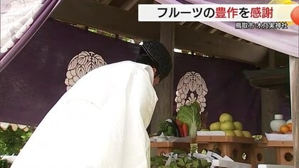 二十世紀梨の原木がご神体「木乃実神社」で収穫感謝の例祭　さらなる豊作願い梨ジュースで乾杯（鳥取市）