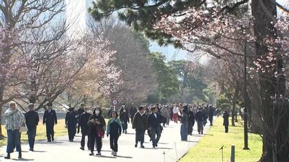 皇居・乾通り春の一般公開に長蛇の列　1万8000人来場し桜を満喫　外国人向け案内ブースも初設置　日本橋でも“桜イベント”開催