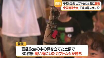 30秒の熱戦繰り広げられる　恒例の全国かぶと虫相撲大会　山形・中山町