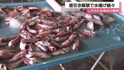 「秋の味覚の底引きが始まった」輪島港でカレイやノドグロが水揚げ　夜には初競りも