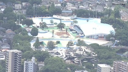 「としまえん」跡地に今も残るプール脇のヤシの木…家族の憩いの場から「家族の命を守る公園」へ