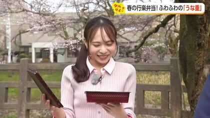 桜の下で贅沢ランチ！お花見に持っていきたい春の行楽弁当2選【動画で見る】