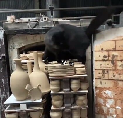 割られるかと思ってヒヤヒヤ」陶芸家と暮らす猫が作品に囲まれ大ピンチ