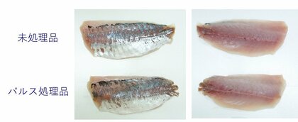 “殺虫処理をしていない切り身”と“殺虫処理をした切り身”の比較(提供:ジャパンシーフーズ)