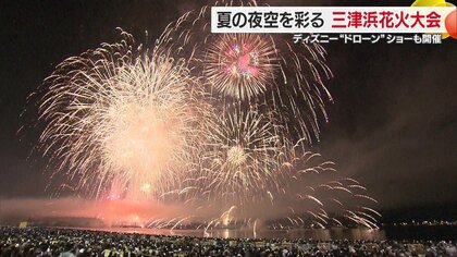 TOKYO Disney RESORT カーテン2枚入花火