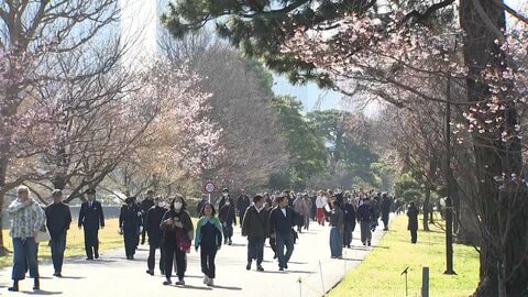 皇居・乾通り春の一般公開に長蛇の列　1万8000人来場し桜を満喫　外国人向け案内ブースも初設置　日本橋でも“桜イベント”開催