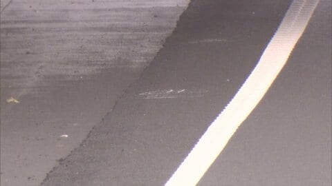 関越道2人死亡事故　逮捕のイラン国籍の男「話すことはありません」認否を留保　工事現場に車突っ込む