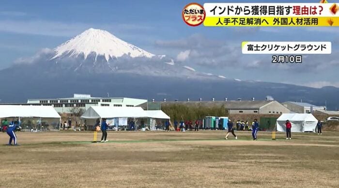 富士市で開かれたクリケット大会(2024年2月)