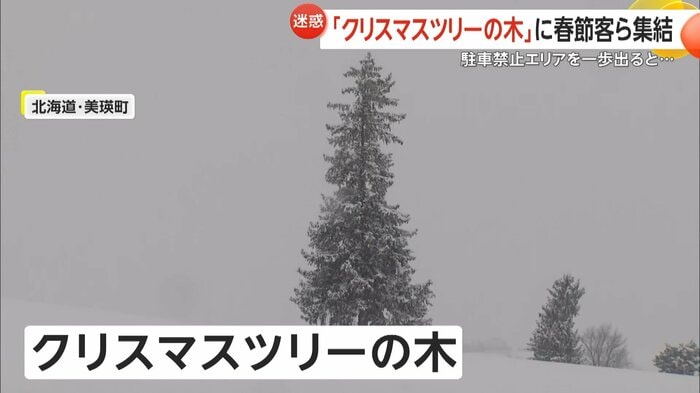 北海道・美瑛町の撮影スポット「クリスマスツリーの木」の周辺にも多くの観光客が