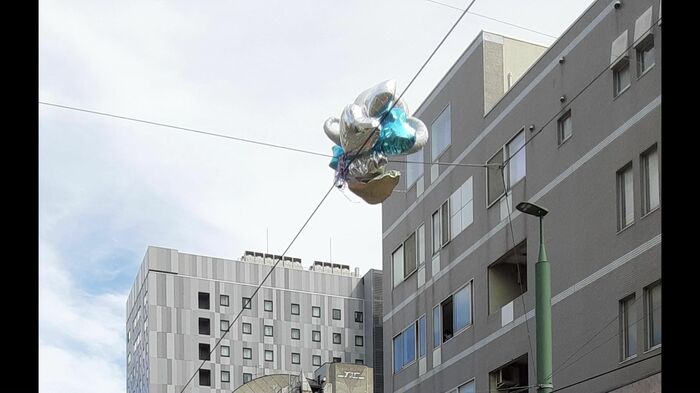 電線の設備に引っかかってしまったバルーン(提供:札幌市交通事業振興公社)