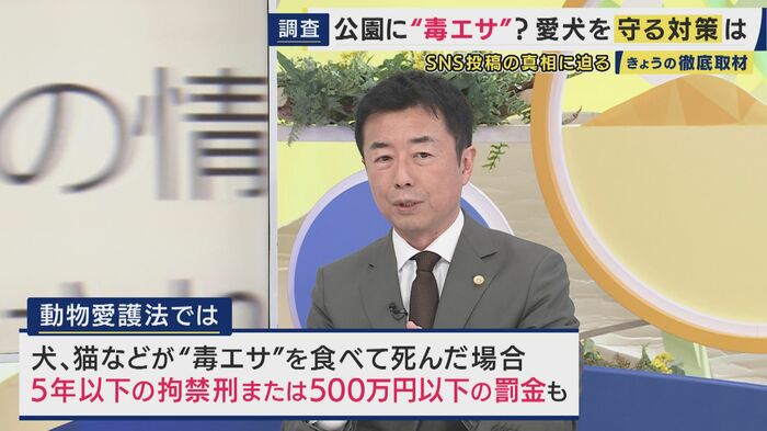 弁護士の西脇亨輔さん