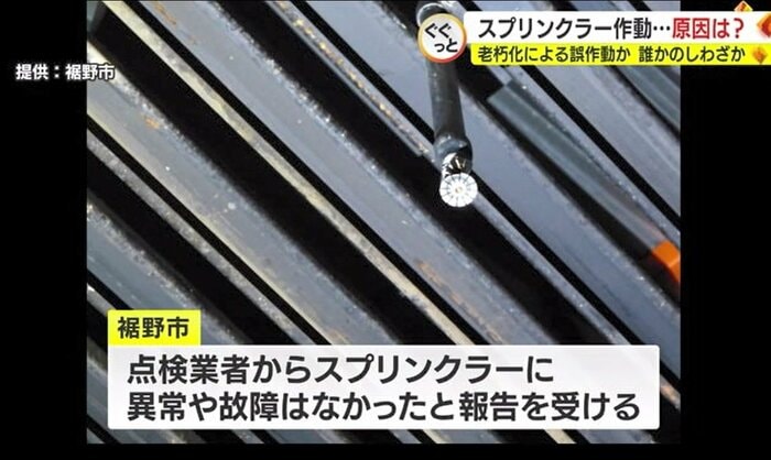 (裾野市提供)
