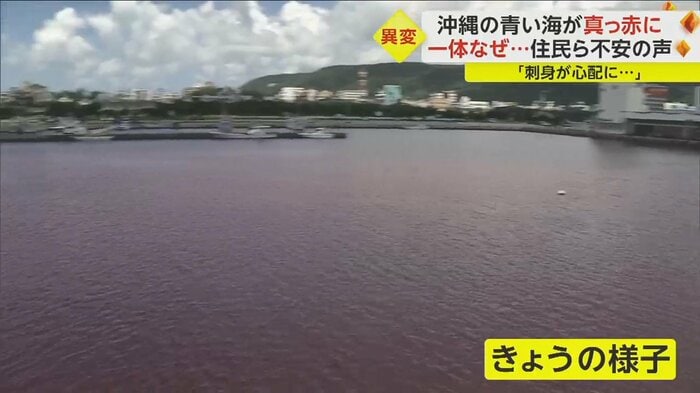 6月27日朝は真っ赤に…