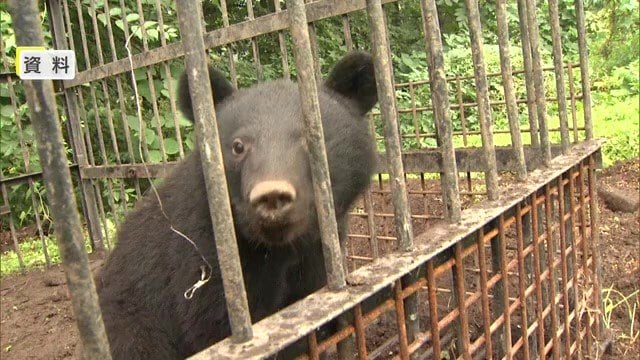 報酬の問題に加え、今後、猟友会の高齢化による銃を扱える人材の育成・確保も課題に…